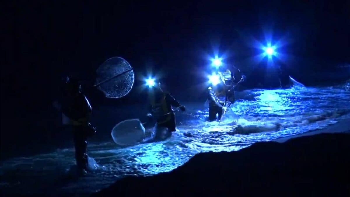 img_4c1780e482bbb391820b220413