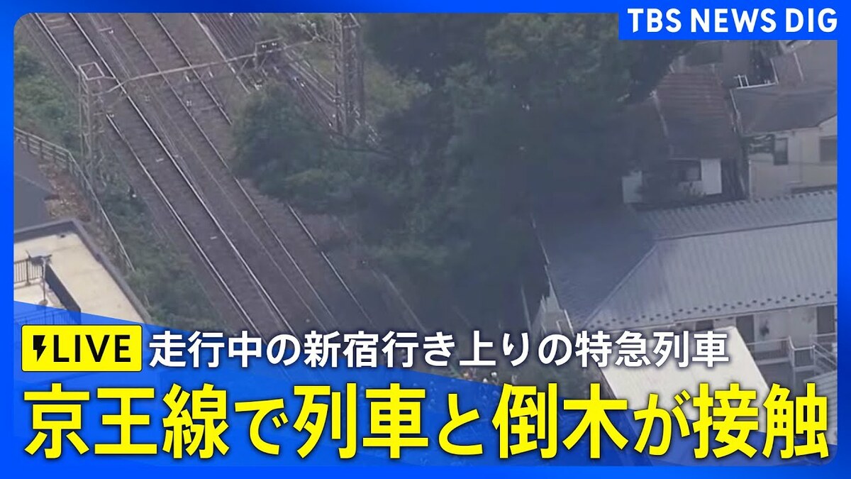 京王 線 倒木