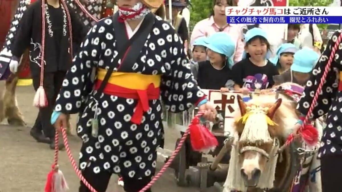 6月のチャグチャグ馬コ本番を前に 装束を身にまとった馬と保育園児が