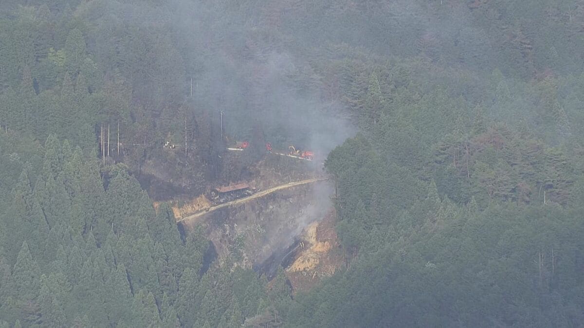 岐阜・恵那市の山林で火事 「煙と炎が上がった」との119番通報 男性が火を消そうとして手にケガ 約4時間後に消し止められる