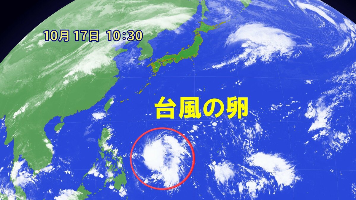 新たな｢台風｣発生へ  また南の海上に“台風の卵”＝熱帯低気圧  台風の｢目｣に突っ込んだ気象予報士が見た”らせん状の雲”とは【台風情報】