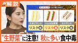 秋は“3つの食中毒”に注意 高温や水分だけじゃない!食中毒予防の“大敵”はお弁当から回避を【Nスタ解説】|TBS NEWS DIG
