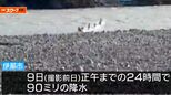 シカの群れが「決死の川渡り」大学教授もビックリの「珍」映像を撮った！大雨の後の増水した川を泳いで渡る姿をキャッチ！それにしてもナゼ…？「シカも生きていくのが大変なんです…」と教授が語るワケ　|　SBC NEWS | 長野のニュース | SBC信越放送