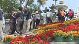防府天満宮に“花回廊”700鉢設置 大阪・関西万博に合わせたデザインもポイント|TBS NEWS DIG