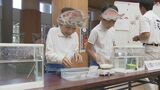 わずか36日間の小学校生活→卒業して海へ！特産のマダイ・クルマエビが旅立ち「私たちのこと忘れないで」　|　山口のニュース・天気・防災｜tys NEWS｜ｔｙｓテレビ山口