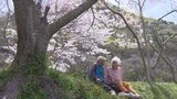 いくら季節が過ぎても…咲き誇るサクラと老夫婦の物語 「長く一緒に生きたい」認知症の妻を支える夫と子どもたちが下した決断【現場から、】|TBS NEWS DIG