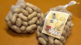 「普通の落花生に比べてジャンボ」大きさ約2倍の新品種「おおまさり」大井川流域で生産者急増中【しずおか産】 | 静岡のニュース | SBSNEWS | 静岡放送