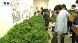 高校生が育てた野菜苗の販売会　価格と丈夫さで大人気（山形）　|　山形のニュース│TUYテレビユー山形