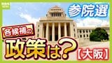 いよいよ投開票【大阪選挙区】候補者はどんな顔?どんな政策?誰に一票を託す 参議院選挙2025 MBS独自アンケート|TBS NEWS DIG