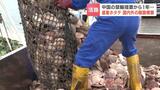 中国の輸入禁止1年…北海道産ホタテ国内消費が伸びるも、これまでの輸出額をカバーしきれず“脱中国”シフト加速へ「攻めの投資」 | 北海道のニュース|HBC北海道放送