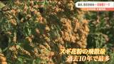 「鼻水が止まらなくてひどい」スギ花粉が大量飛散中　耳鼻科医「来月いっぱいはマスク着用を」　|　宮城のニュース│tbc NEWS│tbc東北放送