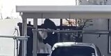 クマがコロンと…住宅街にクマ出没相次ぐ 庄内町では宅地に侵入、上山市では住宅敷地に居座りか(山形) | 山形のニュース│TUYテレビユー山形