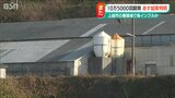 新潟県で今シーズン3例目か? 上越市の採卵鶏農場で高病原性鳥インフルエンザの疑い 13日朝に結果判明 | 新潟のニュース・天気|BSN NEWS|BSN新潟放送