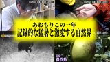 異常気象・クマの出没・ホタテの大量死… 2023年の青森県のニュース総まとめ『あおもりこの1年』(全6回)#3:猛暑と激変する自然界 | 青森のニュース│ATV NEWS│青森テレビ