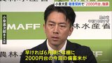 “6月にもコメ5キロ2000円台” 小泉進次郎・新農水大臣が強調 楽天G・三木谷社長と面会し流通形態の模索も|TBS NEWS DIG
