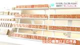 小さな消しゴムに思いを込めて 高知市で"消しゴムはんこ展” | 高知のニュース・天気|KUTV NEWS | KUTVテレビ高知