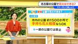 公園で花火をしてもよいの? 名古屋市内 約1500か所は「手持ち花火程度ならOK」 夏休み期間のみルールが緩和される自治体も…愛知県で調べました|TBS NEWS DIG