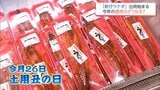 新富町で「新仔ウナギ」の出荷が始まる 今年のウナギの価格はどうなる? | MRTニュース | MRT宮崎放送