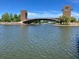 根こそぎ除去で異常繁茂を防ぐ!「富岩運河環水公園」に特殊作業船 富山県「根本的な除去効果を検証したい」 | 富山のニュース|天気・防災|チューリップテレビ
