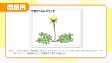 「タンポポはなぜダンディライオン?」県立安積中・高受験へ専門塾も 対策問題に挑戦 福島|TBS NEWS DIG