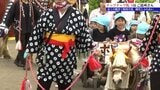 6月のチャグチャグ馬コ本番を前に　装束を身にまとった馬と保育園児が交流　岩手・滝沢市|TBS NEWS DIG