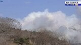 相次ぐ山林火災 背景に西寄りの風と異常乾燥 岩手|TBS NEWS DIG