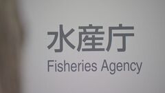 東シナ海EEZで日本の漁業調査船に中国海軍ヘリが接近… 外交ルートで中国に遺憾の意| TBS CROSS DIG with Bloomberg