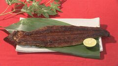 実は「9割以上オス」だった養殖ウナギ…新技術で「ほぼ全てメス」に！　“オスより美味しい”「めすうなぎ」イオン全店規模で初販売| TBS CROSS DIG with Bloomberg