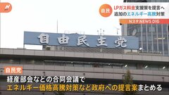 追加物価高対策　LPガス利用者の支援を　自民党が提言| TBS CROSS DIG with Bloomberg