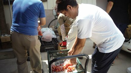 もう日本では暮らせない」難民認定後も生活苦しく 在アフガニスタン