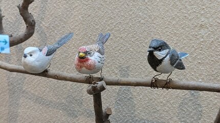 精巧な木彫り作品から野鳥の愛らしさや息づかいが伝わる バード