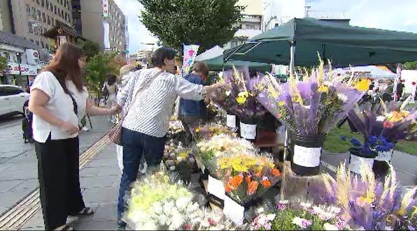 盆花に暑さの影響も…迎え盆を前に、長野市の善光寺表参道でお花市「ご先祖さまを、おかえりって言って迎えたい…」　|　SBC NEWS | 長野のニュース | SBC信越放送