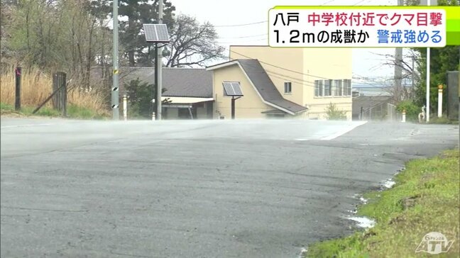 「クマが道路を移動していた」体長約1.2ｍの成獣か　青森県八戸市でクマ1頭の目撃情報　付近には中学校　警戒強める|TBS NEWS DIG