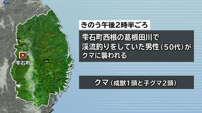 クマが馬乗りに 渓流釣り中に成獣のクマ1頭と子グマ2頭に遭遇 男性襲われけが 岩手・雫石町|TBS NEWS DIG