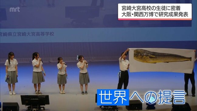 「かましていかんと！」大阪・関西万博で未利用魚「シイラ」の活用方法を提言　宮崎の高校生たちに密着|TBS NEWS DIG
