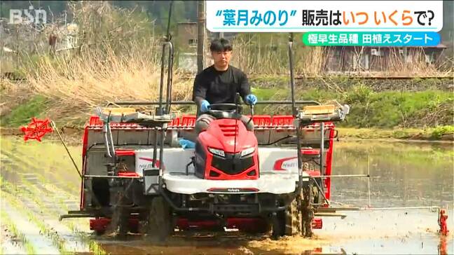 極早生品種の『葉月みのり』は8月20日頃店頭に　期待高まる“新米”価格は？|TBS NEWS DIG