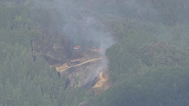 岐阜・恵那市の山林で火事 「煙と炎が上がった」との119番通報 男性が火を消そうとして手にやけど 約4時間後に消し止められる|TBS NEWS DIG