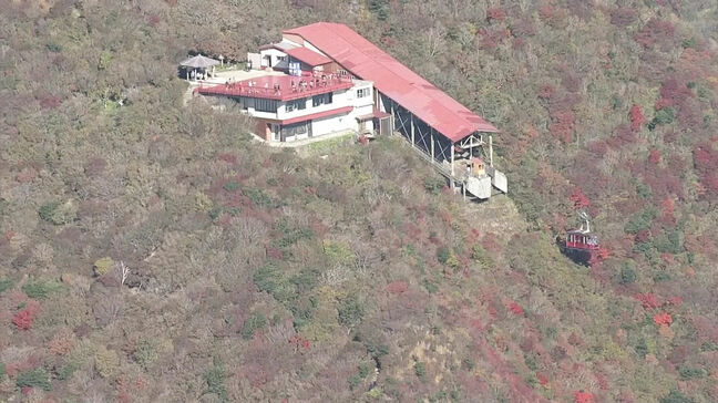 紅葉の名所「雲仙・仁田峠」が紅葉の見頃迎える 先月下旬から一気に色づき進む|TBS NEWS DIG
