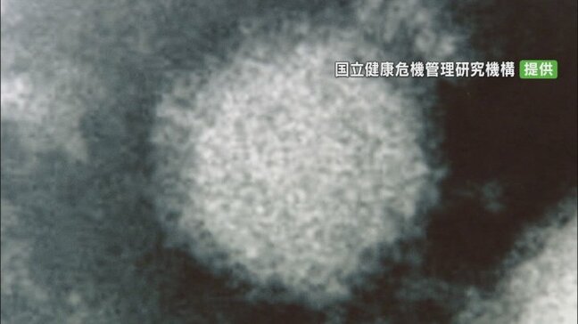 SFTS=重症熱性血小板減少症候群の患者 山梨で初の確認 予防のポイント|TBS NEWS DIG