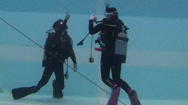 「降りるところが一番不安」多度津高校の3年生が特訓　四国水族館のイルカプールでの潜水作業に向けて【香川】|TBS NEWS DIG