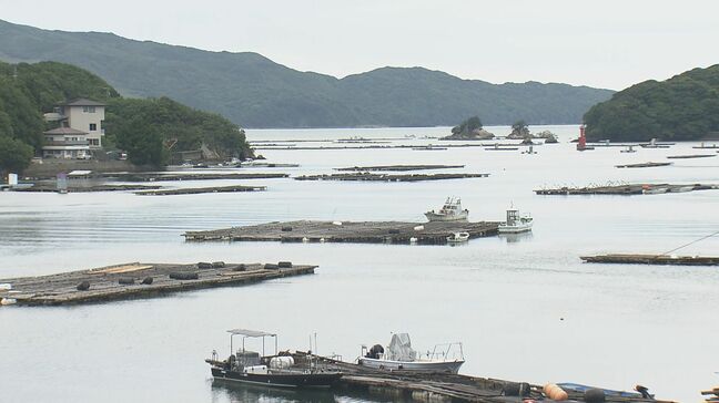 津波注意報 解除から一夜明けカキの養殖業者が作業再開 「何もなくてよかった」去年7月にはカムチャツカ半島で起きた地震による津波被害 三重・鳥羽市浦村町 |TBS NEWS DIG