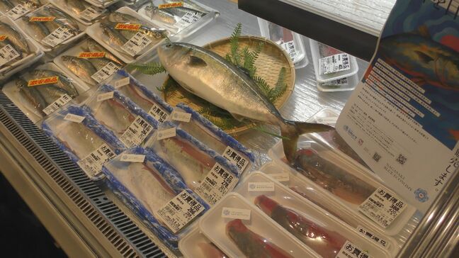 “旬並みの脂乗り”をいつでも　完全養殖で世界展開を目指す「はじまりのブリ」スーパーで試食・販売【長崎】|TBS NEWS DIG