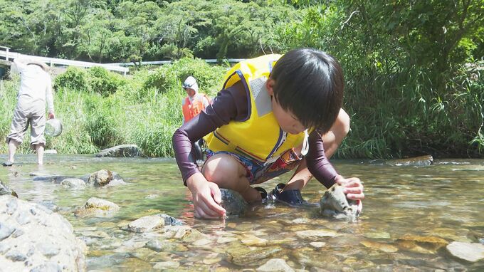 自然を学ぶ貴重な体験に「森と湖に親しむ集い」子どもも親も熱心に生きもの探し　|　山口のニュース・天気・防災｜tys NEWS｜ｔｙｓテレビ山口