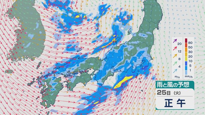 3連休明けは荒れる天気のところも 低気圧が日本海を通過 25日(火)は日本海側を中心に急な強い雨や落雷に注意を 雨と風シミュレーション|TBS NEWS DIG