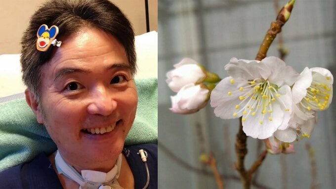 【ニャンちゅう】声優・津久井教生さん　「家のベランダの桜の花が咲きました～」「皆さんにも桜の花のパワーをおすそ分けします」　【ＡＬＳ闘病】|TBS NEWS DIG