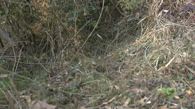 和歌山の男性の遺体を岡山に運び 井原市の山中に遺棄した疑いで男4人を逮捕　和歌山県警【岡山】|TBS NEWS DIG