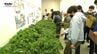 高校生が育てた野菜苗の販売会　価格と丈夫さで大人気　|　山形のニュース│TUYテレビユー山形