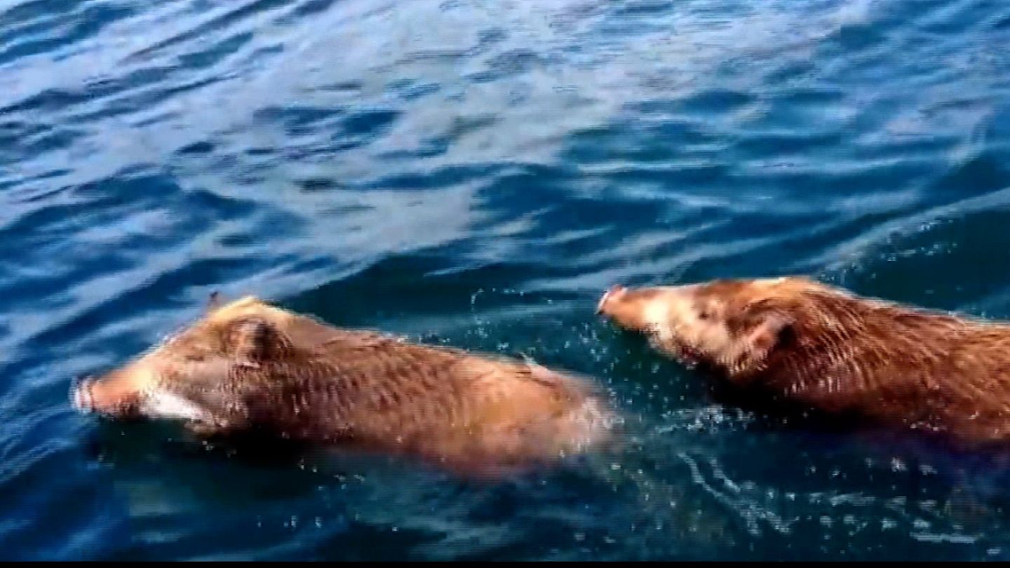 img_4d6c7f8ab2460be0747814a112