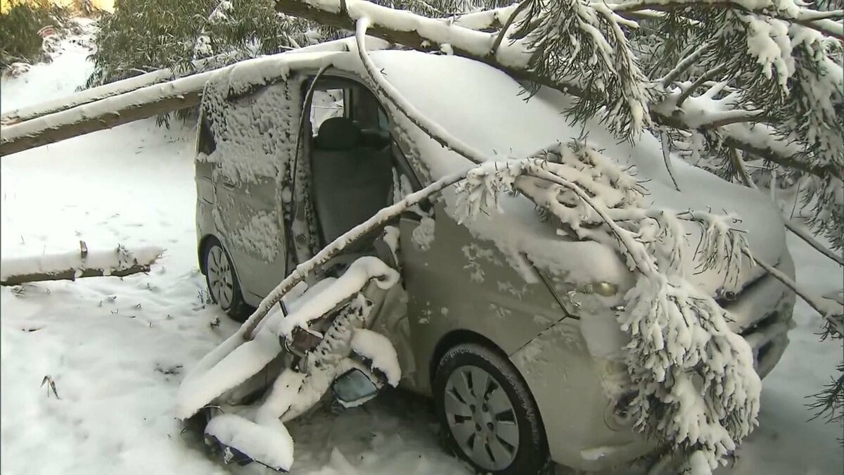 10年に一度クラスの【強烈寒波】積雪や暴風で3人死傷 大分 | 大分の