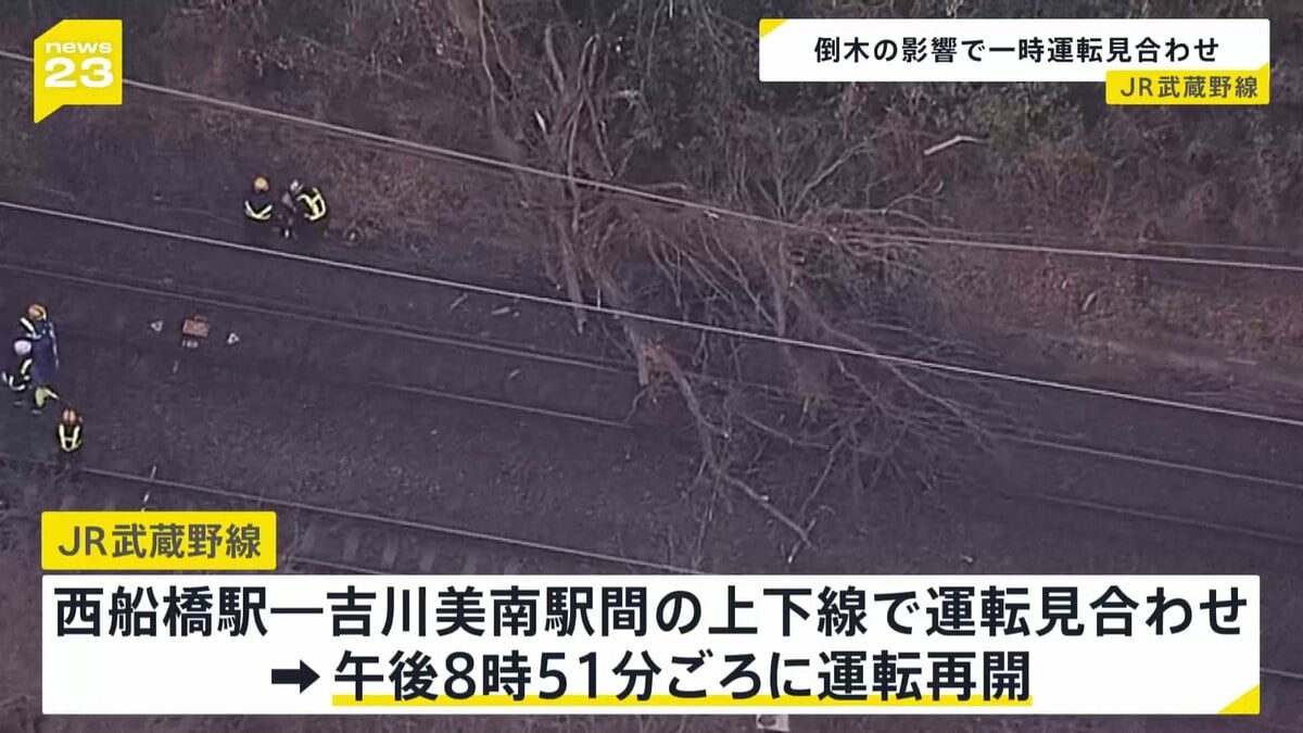 倒木でJR武蔵野線が一時運転見合わせ 午後8時51分ごろに運転再開 JR